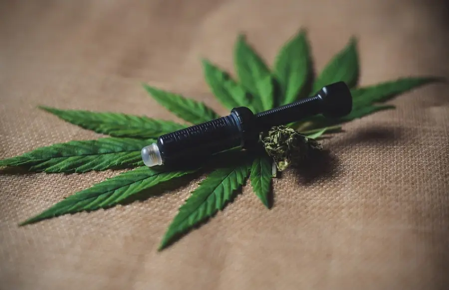 Cannabis light: perché è legale e a cosa serve