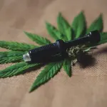 Cannabis light: perché è legale e a cosa serve