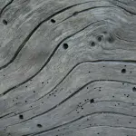 Trattamenti di Fumigazione Antitarlo