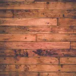 Quando scegliere il parquet in Bamboo?