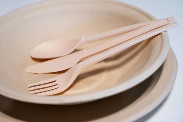 Piatti biodegradabili: l’ultima frontiera della sostenibilità