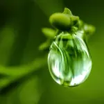 La cura della persona con prodotti sostenibili