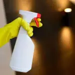 Creolina: le principali caratteristiche e come usarla in totale sicurezza