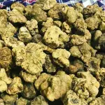 Come conservare il tartufo: metodi e accortezze