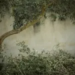 Abbacchiatore Pellenc Power: Caratteristiche, Vantaggi e Consigli d'Uso