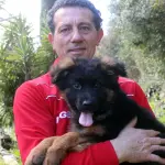 Come addestrare un pastore tedesco