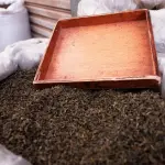 Commercio all’ingrosso, di cosa si tratta e quali sono i vantaggi