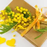 Idee regalo per la festa della donna: ecco cosa regalare