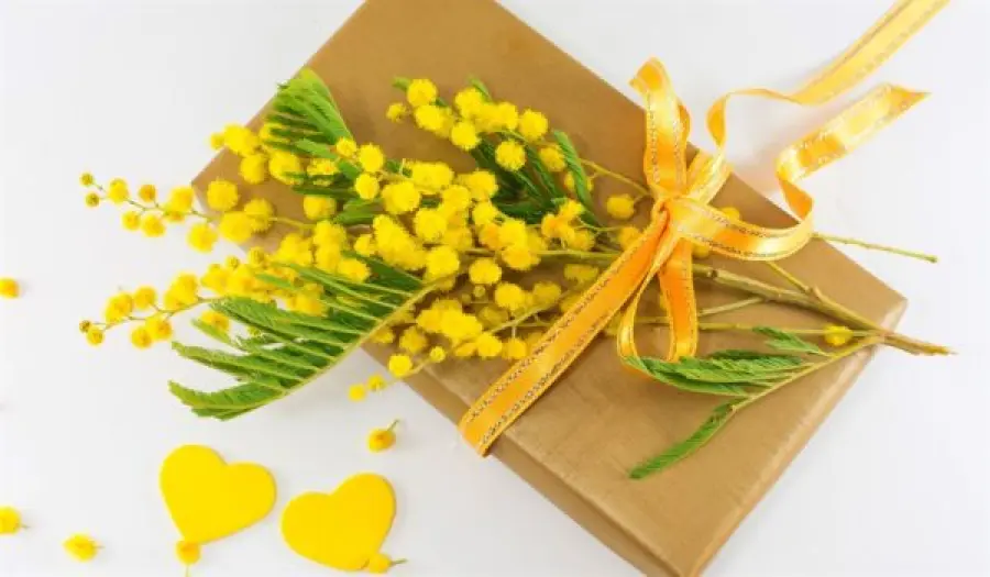 Idee regalo per la festa della donna: ecco cosa regalare