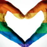 Legge Unioni Civili, cosa cambia e come funziona