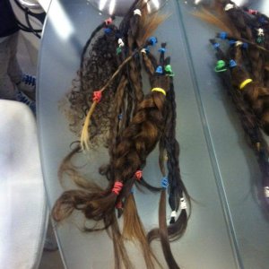 Studentesse donano capelli a malate di tumore