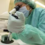 Napoli, ricoverata al Policlinico per una leucemia contrae l'influenza aviaria: grave 55enne