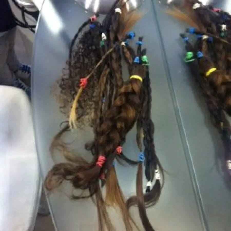 Studentesse donano capelli a malate di tumore