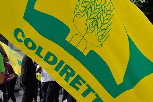 Dieta mediterranea? Stiamo mangiando broccoli cinesi e basilico indiano, la denuncia