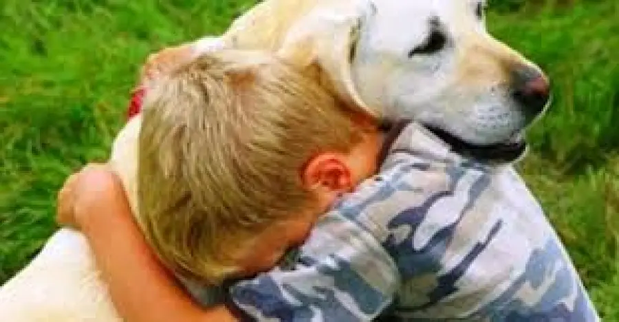 In vacanza con il nostro amico a quattro zampe: ora è più facile