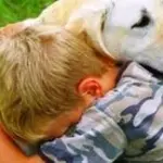 In vacanza con il nostro amico a quattro zampe: ora è più facile