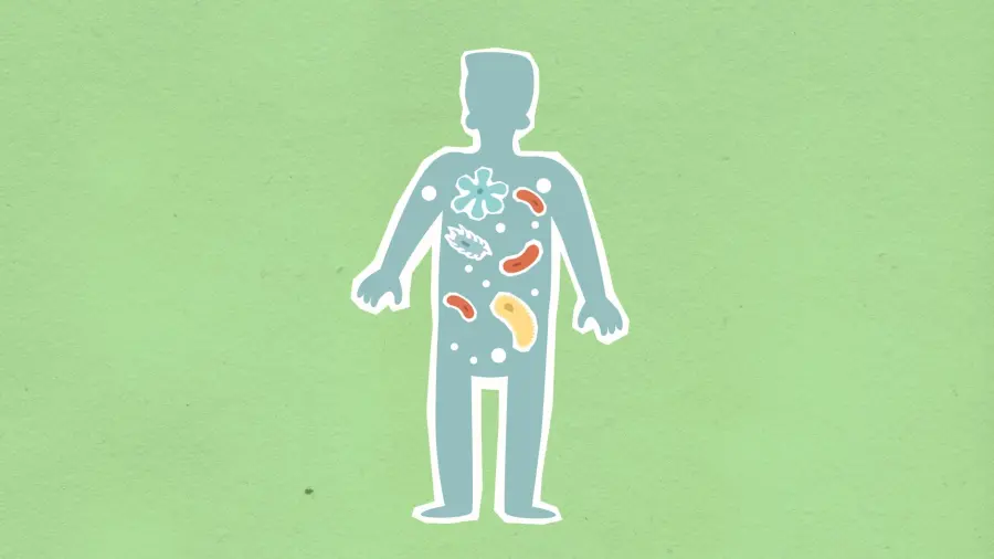 Microbiota intestinale: cos'è e perché conta