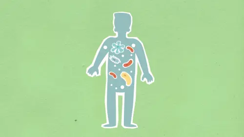 Microbiota intestinale: cos'è e perché conta