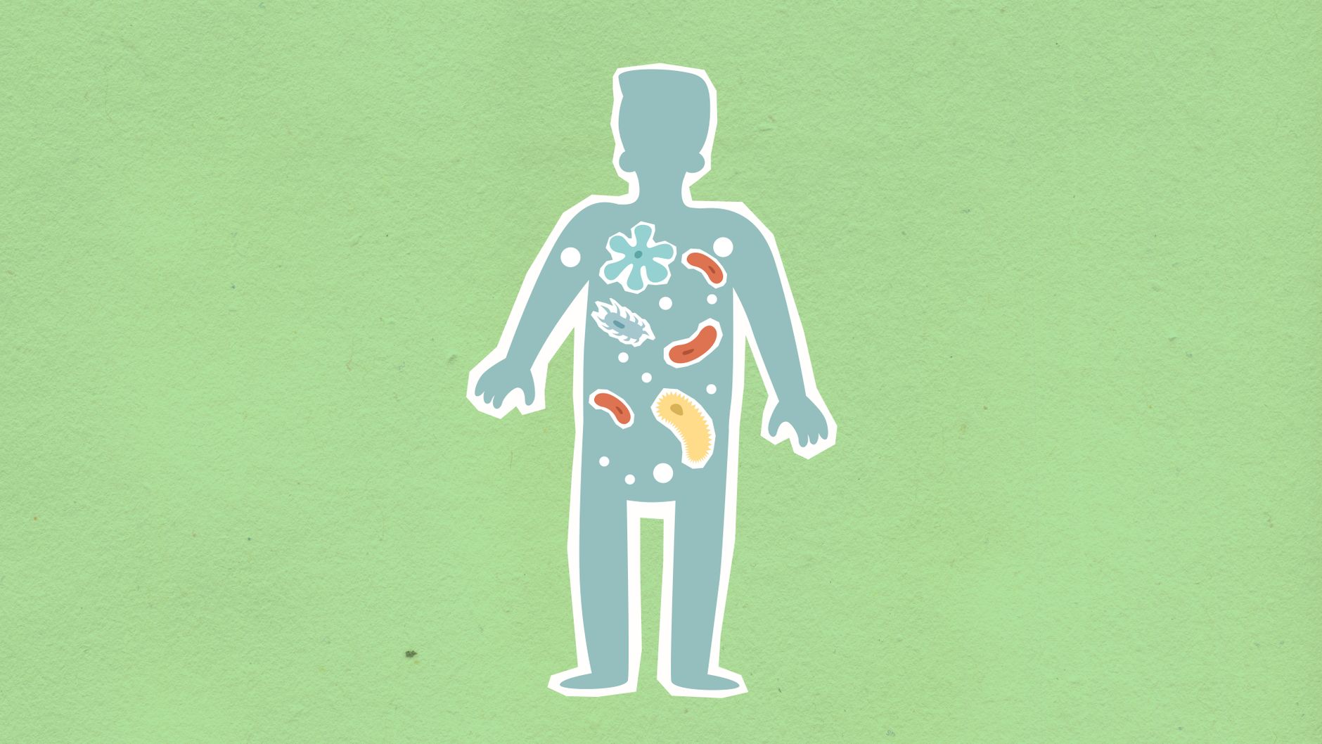 Microbiota intestinale: cos'è e perché conta