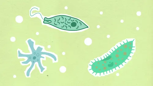 Differenza tra virus e batteri spiegata