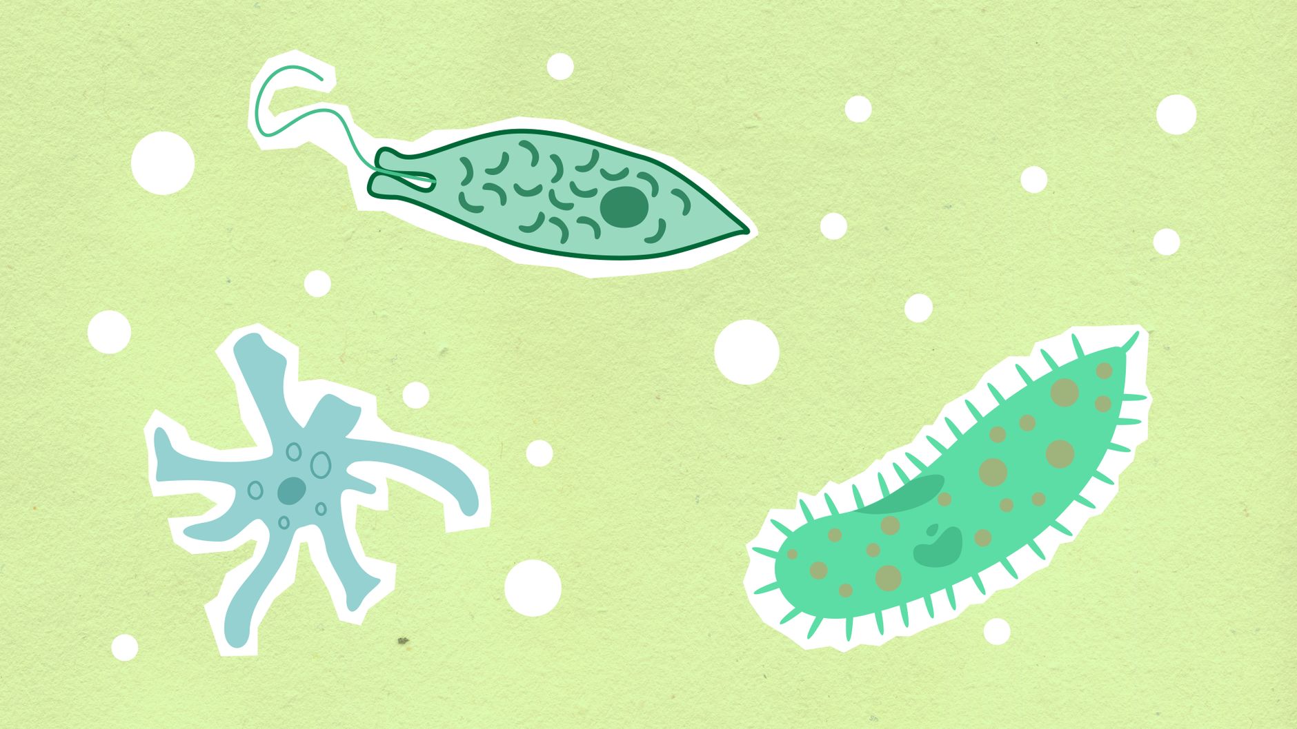 Differenza tra virus e batteri spiegata