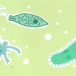 Differenza tra virus e batteri spiegata
