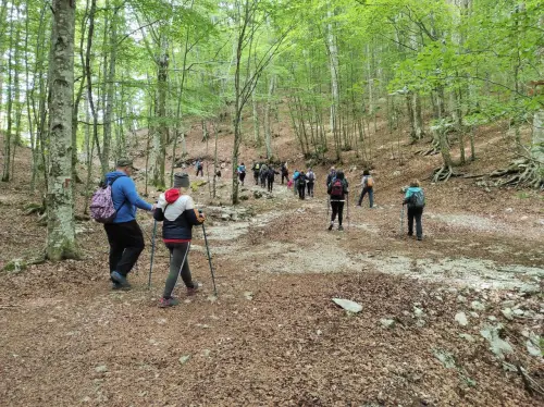 Team building aziendale e natura: come progettare una giornata che lascia il segno