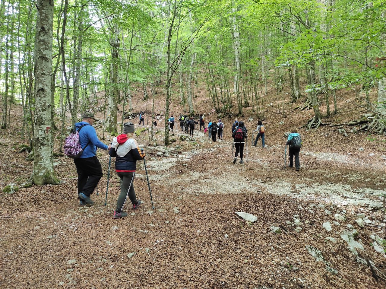 Team building aziendale e natura: come progettare una giornata che lascia il segno