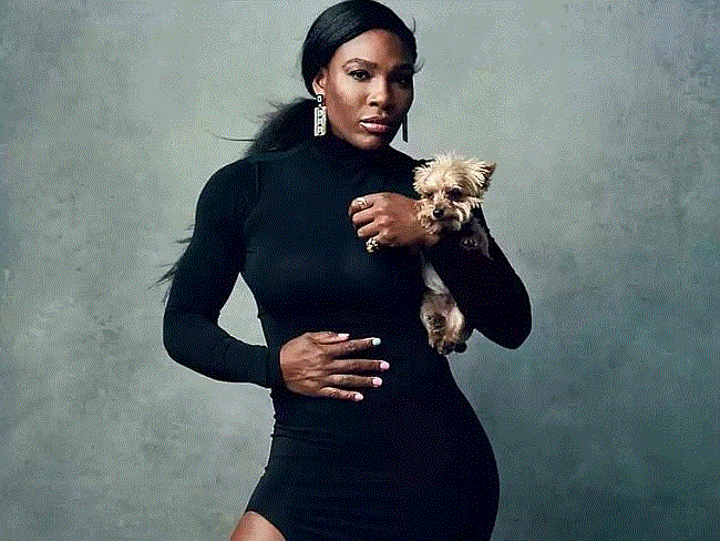 Serena Williams vs cibo per cani, ecco cosa ha combinato